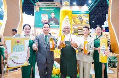จาก ‘เม็ดทราย’ บนลานตาก สู่ ‘ทองคำเหลว’ บนโต๊ะอาหารโลก: ถอดรหัสการทรานส์ฟอร์มหมื่นล้านของ LPP OIL