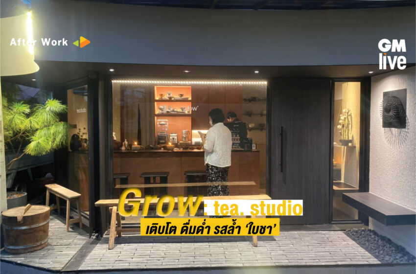  Grow: tea.studio เติบโต ดื่มด่ำ รสล้ำ “ใบชา”