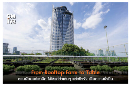 From Rooftop Farm to Table สวนผักออร์แกนิค สะท้อนความใส่ใจเรื่องความยั่งยืน โรงแรมเซ็นทาราแกรนด์ เซ็นทรัลเวิลด์