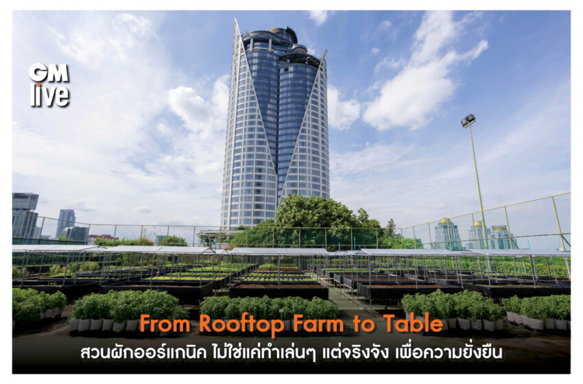  From Rooftop Farm to Table สวนผักออร์แกนิค สะท้อนความใส่ใจเรื่องความยั่งยืน โรงแรมเซ็นทาราแกรนด์ เซ็นทรัลเวิลด์