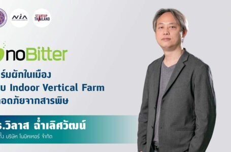 noBitter ฟาร์มผักในเมืองแบบ Indoor Vertical Farm ปลอดภัยจากสารพิษ