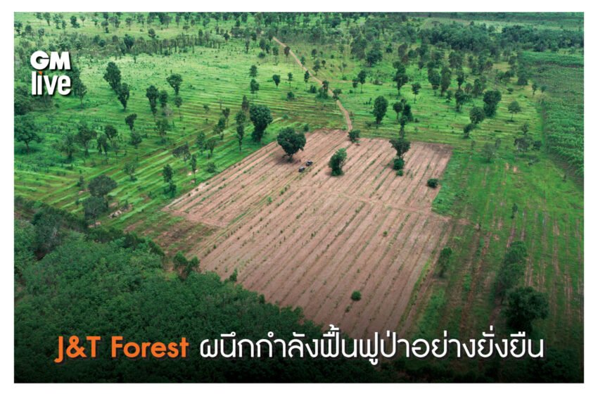  เจแอนด์ที เอ็กซ์เพรส ผนึกกำลังกรมป่าไม้ ฟื้นฟูป่าอย่างยั่งยืน สานต่อโครงการ J&T Forest