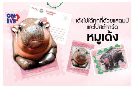 ลิมิเต็ดคอลเลกชันiStamp และโปสต์การ์ดซุป’ตาร์แห่งสวนสัตว์เขาเขียว ส่งตรง “ตู้ปณ หมูเด้ง”