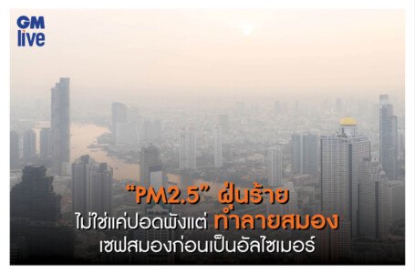 “PM2.5” ฝุ่นร้าย ไม่ใช่แค่ปอดพังแต่ทำลายสมอง เซฟสมองก่อนเป็นอัลไซเมอร์-พาร์กินสันก่อนวัย