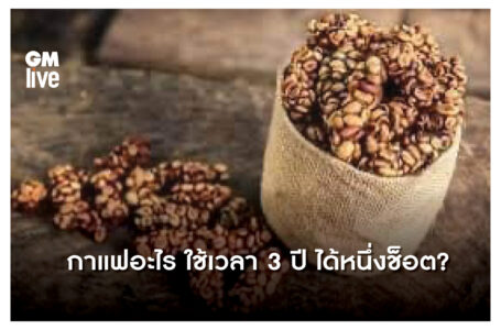 กาแฟอะไร ใช้เวลา 3 ปีได้หนึ่งช็อต?