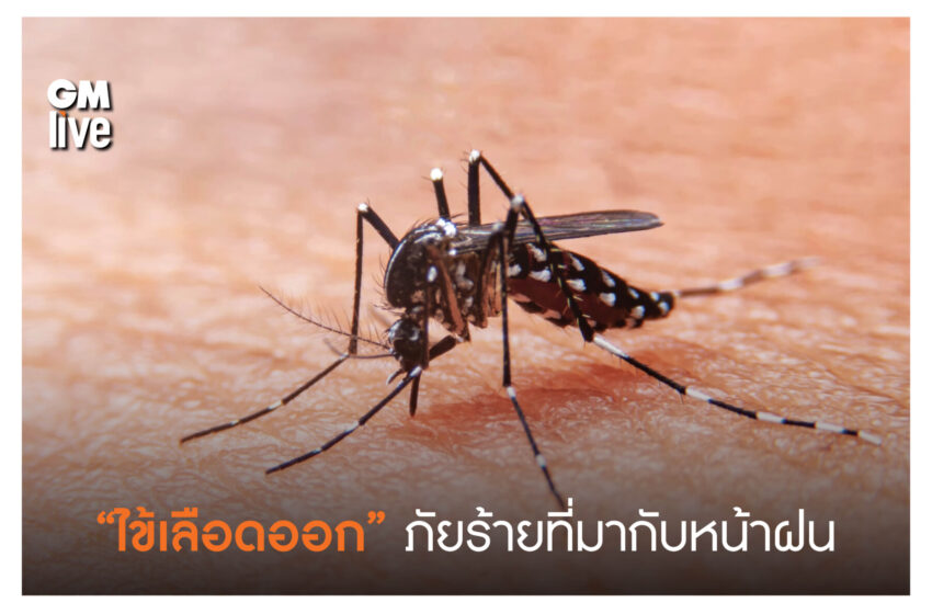  “ไข้เลือดออก” ภัยร้ายที่มากับหน้าฝน