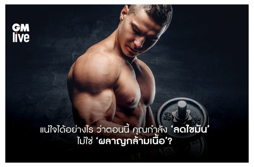  ‘แน่ใจได้อย่างไร ว่าตอนนี้ คุณกำลัง ‘ลดไขมัน’ ไม่ใช่ ‘ผลาญกล้ามเนื้อ’?’