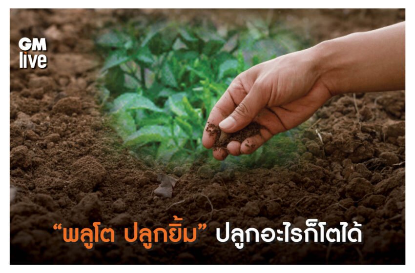  “พลูโต ปลูกยิ้ม” ปลูกอะไรก็โตได้ พลิกโฉมการเกษตรไทยสู่ความยั่งยืน