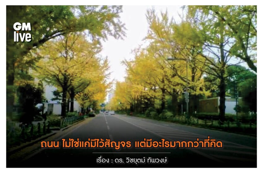  ถนน ไม่ใช่แค่มีไว้สัญจร แต่มีอะไรมากกว่าที่คิด