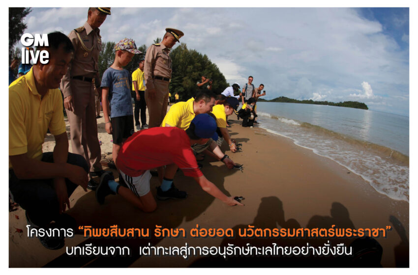  โครงการ “ทิพยสืบสาน รักษา ต่อยอด นวัตกรรมศาสตร์พระราชา” บทเรียนจาก  เต่าทะเลสู่การอนุรักษ์ทะเลไทยอย่างยั่งยืน