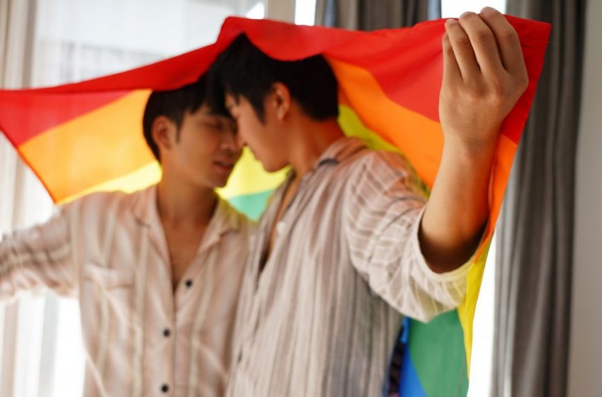  การเติบโตของซีรีส์ Y บนการแบนสื่อรักร่วมเพศในจีน