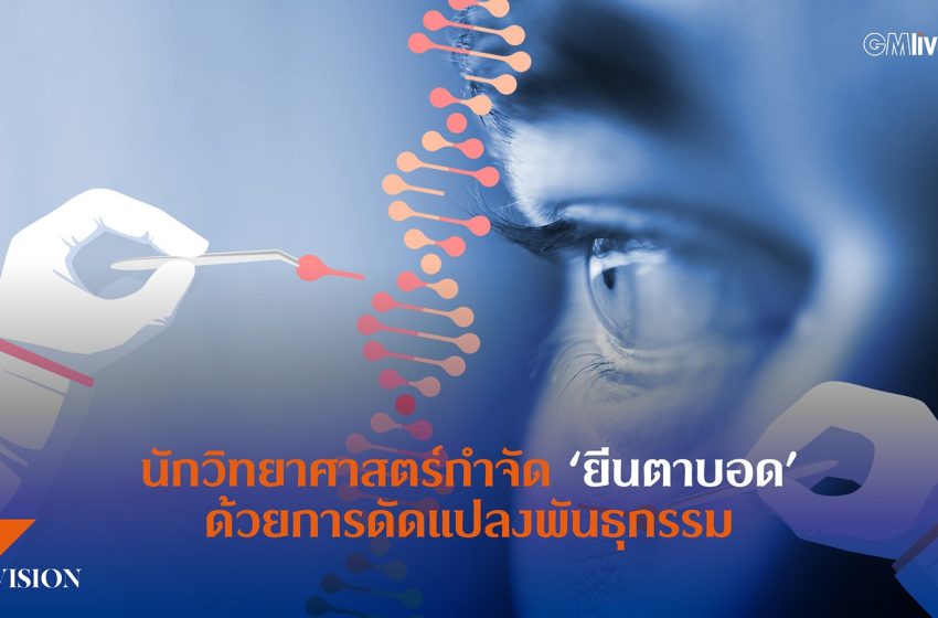  นักวิทยาศาสตร์กำจัด ‘ยีนตาบอด’ ด้วยการดัดแปลงพันธุกรรม